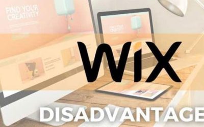 The Risks of Relying on Your Business Website Built with Wix